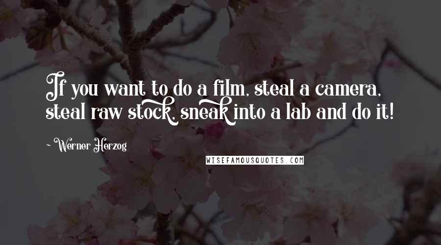 Werner Herzog Quotes: If you want to do a film, steal a camera, steal raw stock, sneak into a lab and do it!