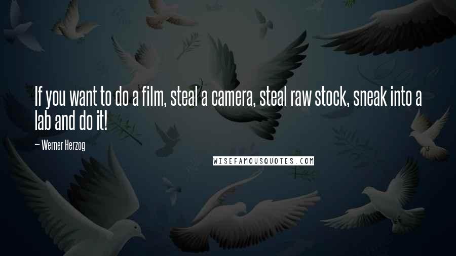 Werner Herzog Quotes: If you want to do a film, steal a camera, steal raw stock, sneak into a lab and do it!