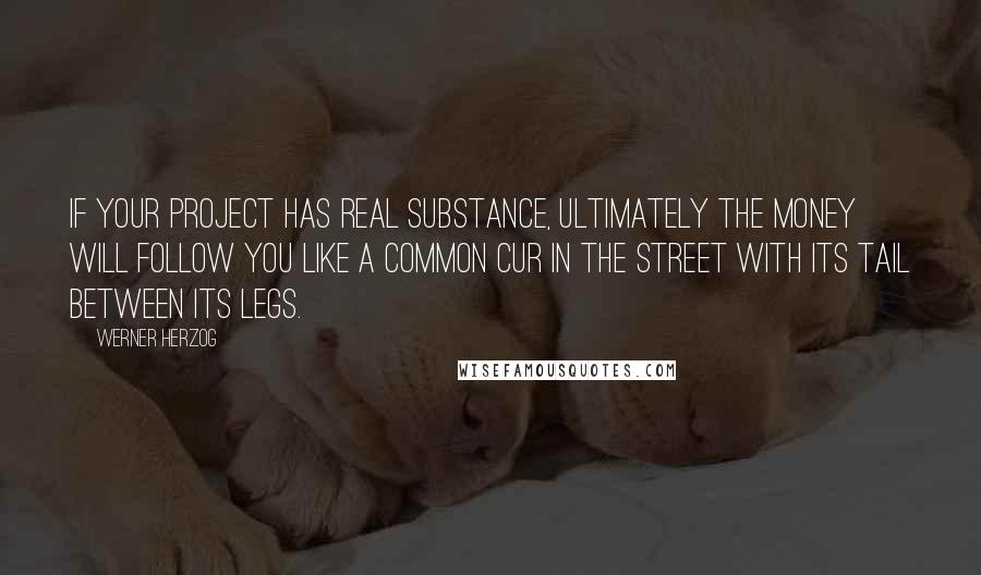 Werner Herzog Quotes: If your project has real substance, ultimately the money will follow you like a common cur in the street with its tail between its legs.