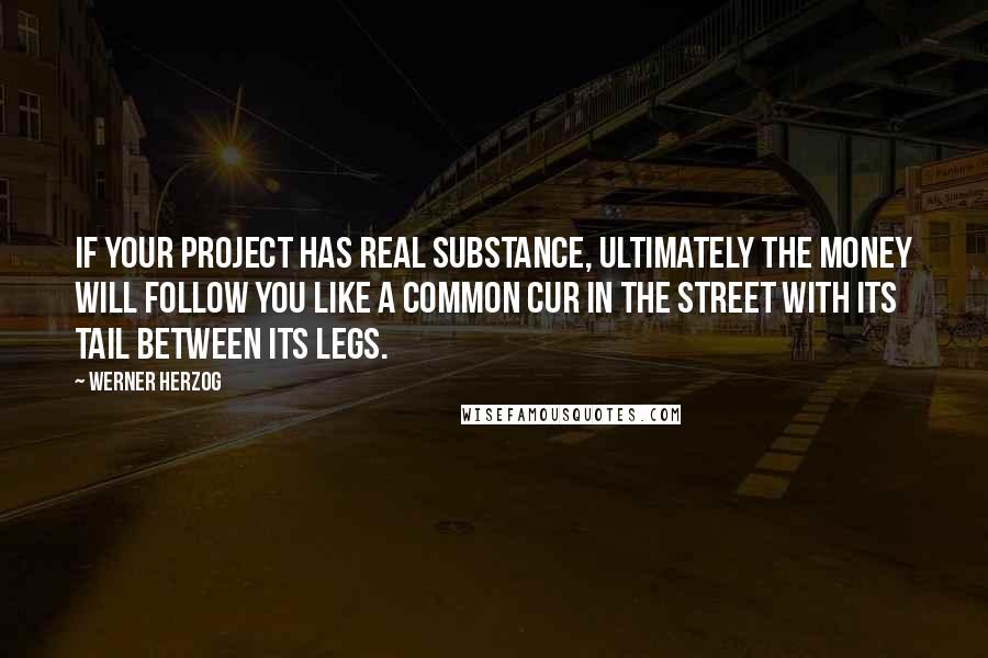Werner Herzog Quotes: If your project has real substance, ultimately the money will follow you like a common cur in the street with its tail between its legs.