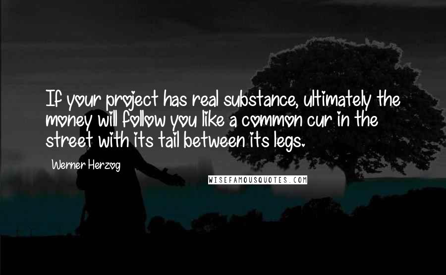 Werner Herzog Quotes: If your project has real substance, ultimately the money will follow you like a common cur in the street with its tail between its legs.