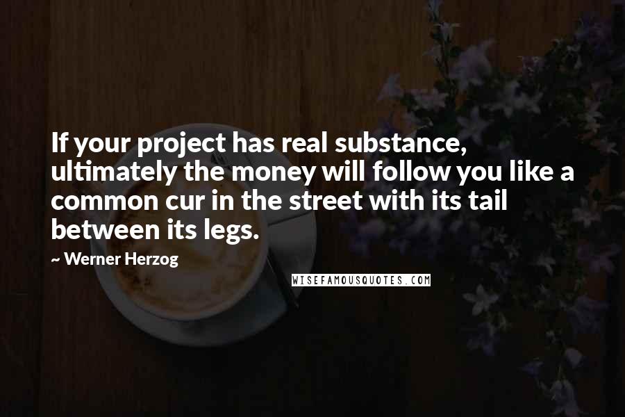 Werner Herzog Quotes: If your project has real substance, ultimately the money will follow you like a common cur in the street with its tail between its legs.