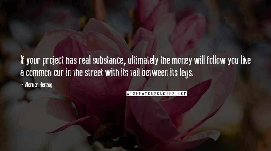 Werner Herzog Quotes: If your project has real substance, ultimately the money will follow you like a common cur in the street with its tail between its legs.