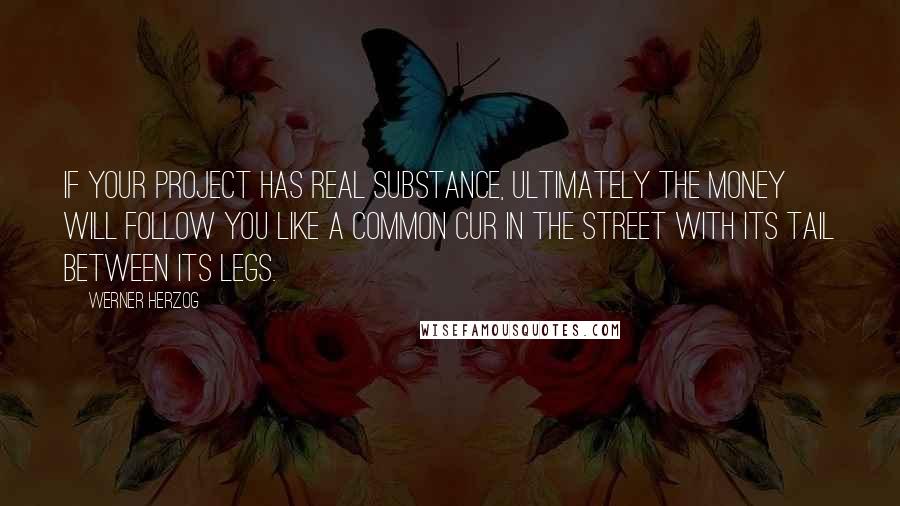 Werner Herzog Quotes: If your project has real substance, ultimately the money will follow you like a common cur in the street with its tail between its legs.