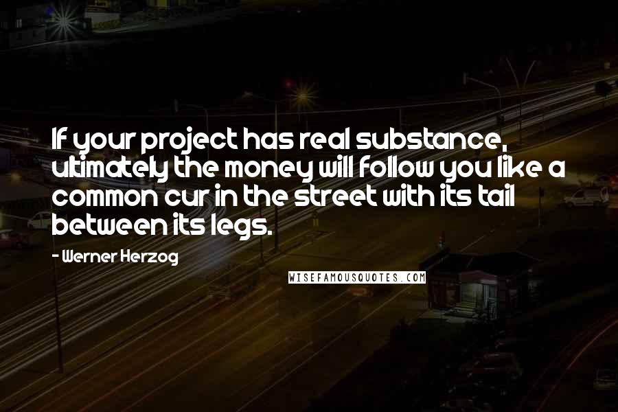 Werner Herzog Quotes: If your project has real substance, ultimately the money will follow you like a common cur in the street with its tail between its legs.