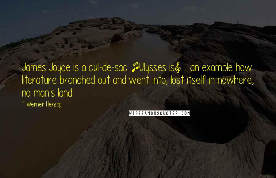 Werner Herzog Quotes: James Joyce is a cul-de-sac. [Ulysses is] ... an example how literature branched out and went into, lost itself in nowhere, no man's land.
