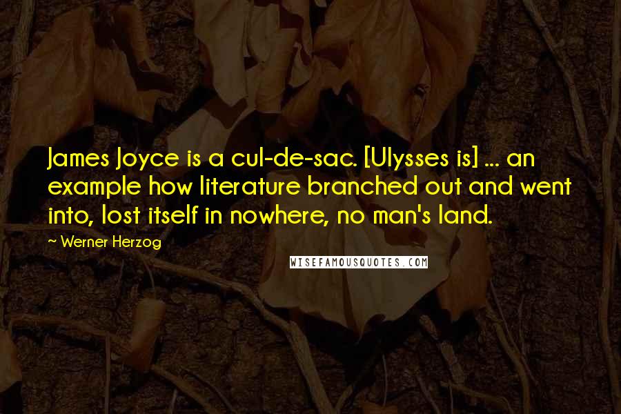 Werner Herzog Quotes: James Joyce is a cul-de-sac. [Ulysses is] ... an example how literature branched out and went into, lost itself in nowhere, no man's land.