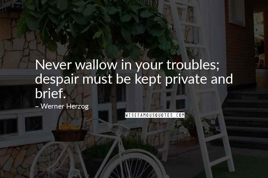 Werner Herzog Quotes: Never wallow in your troubles; despair must be kept private and brief.