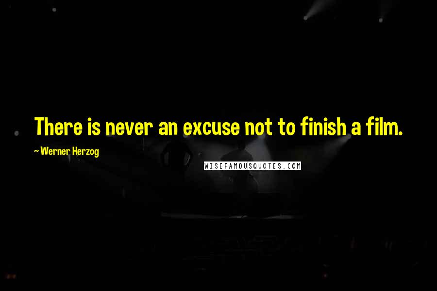Werner Herzog Quotes: There is never an excuse not to finish a film.
