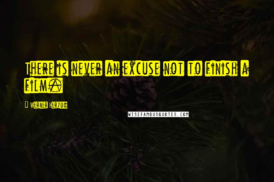 Werner Herzog Quotes: There is never an excuse not to finish a film.