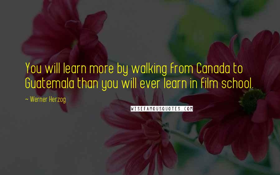 Werner Herzog Quotes: You will learn more by walking from Canada to Guatemala than you will ever learn in film school.