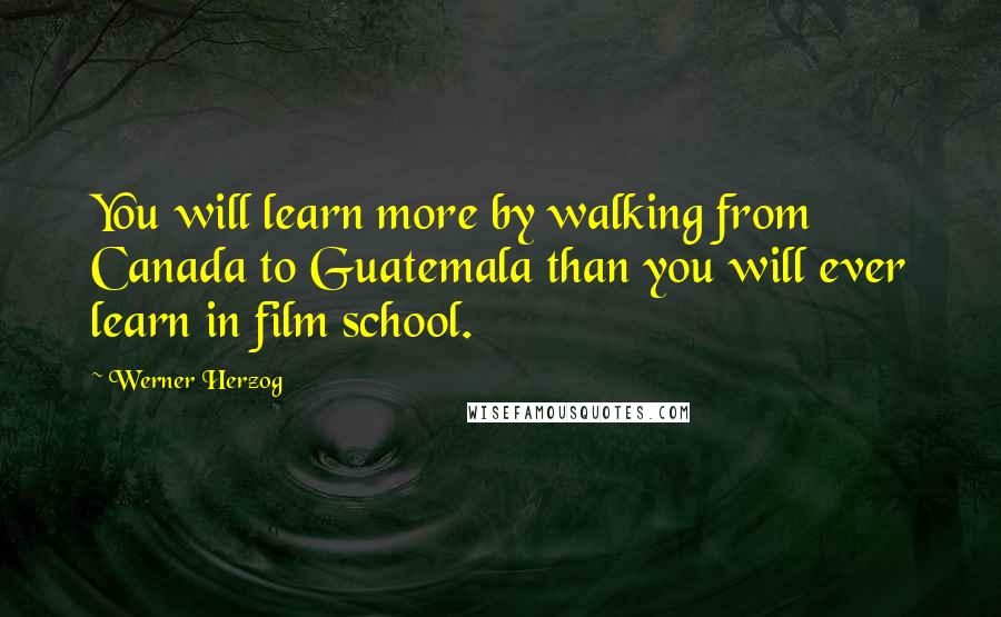 Werner Herzog Quotes: You will learn more by walking from Canada to Guatemala than you will ever learn in film school.