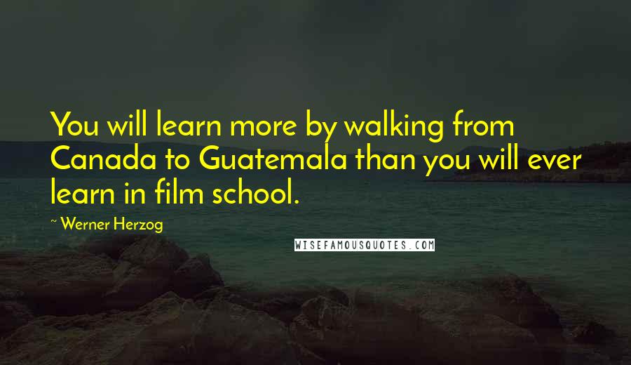 Werner Herzog Quotes: You will learn more by walking from Canada to Guatemala than you will ever learn in film school.