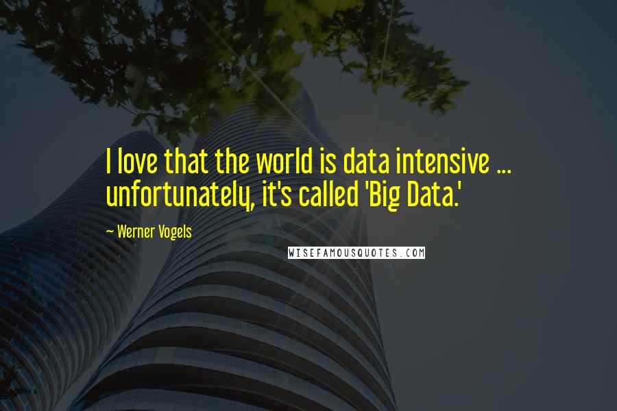 Werner Vogels Quotes: I love that the world is data intensive ... unfortunately, it's called 'Big Data.'