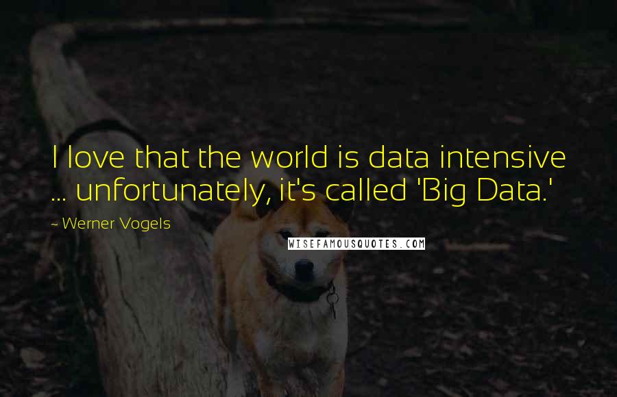 Werner Vogels Quotes: I love that the world is data intensive ... unfortunately, it's called 'Big Data.'