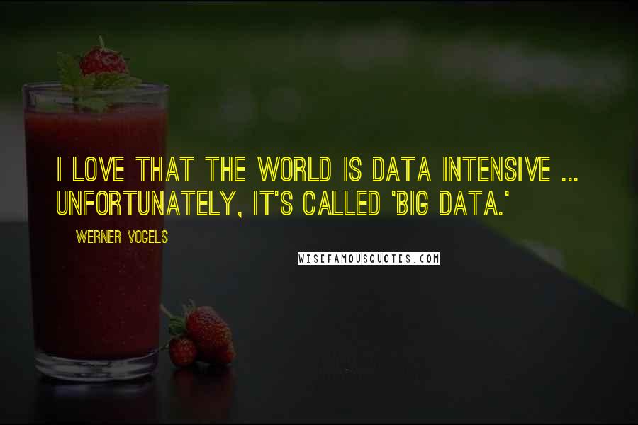 Werner Vogels Quotes: I love that the world is data intensive ... unfortunately, it's called 'Big Data.'