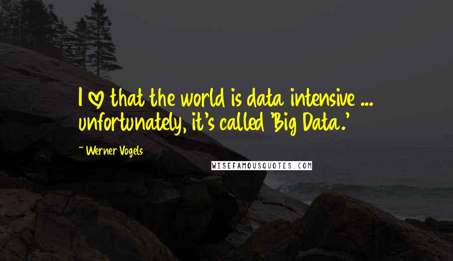 Werner Vogels Quotes: I love that the world is data intensive ... unfortunately, it's called 'Big Data.'