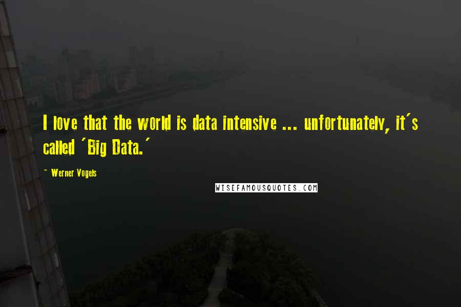 Werner Vogels Quotes: I love that the world is data intensive ... unfortunately, it's called 'Big Data.'