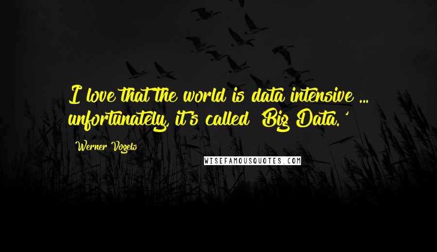 Werner Vogels Quotes: I love that the world is data intensive ... unfortunately, it's called 'Big Data.'