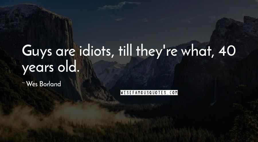 Wes Borland Quotes: Guys are idiots, till they're what, 40 years old.