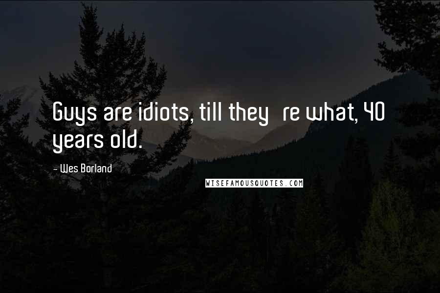 Wes Borland Quotes: Guys are idiots, till they're what, 40 years old.