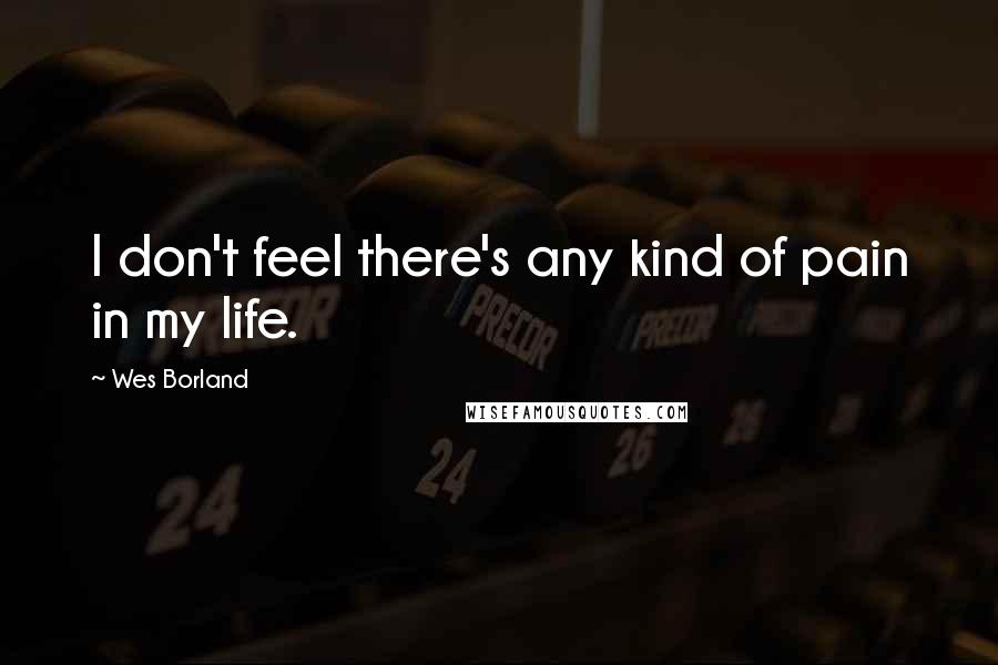 Wes Borland Quotes: I don't feel there's any kind of pain in my life.