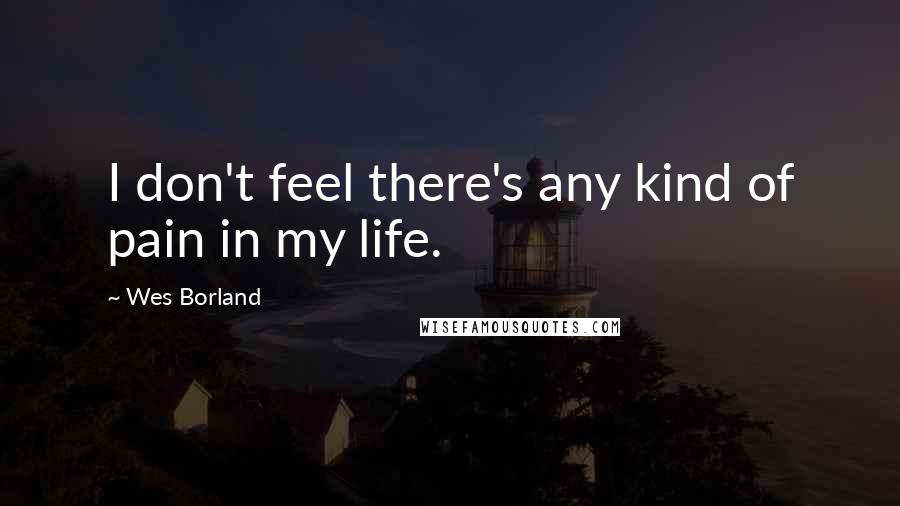 Wes Borland Quotes: I don't feel there's any kind of pain in my life.