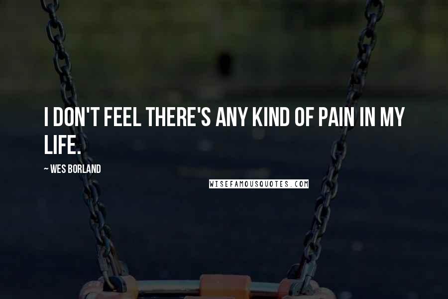 Wes Borland Quotes: I don't feel there's any kind of pain in my life.