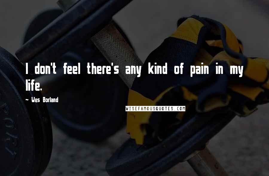 Wes Borland Quotes: I don't feel there's any kind of pain in my life.