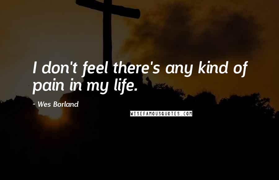 Wes Borland Quotes: I don't feel there's any kind of pain in my life.