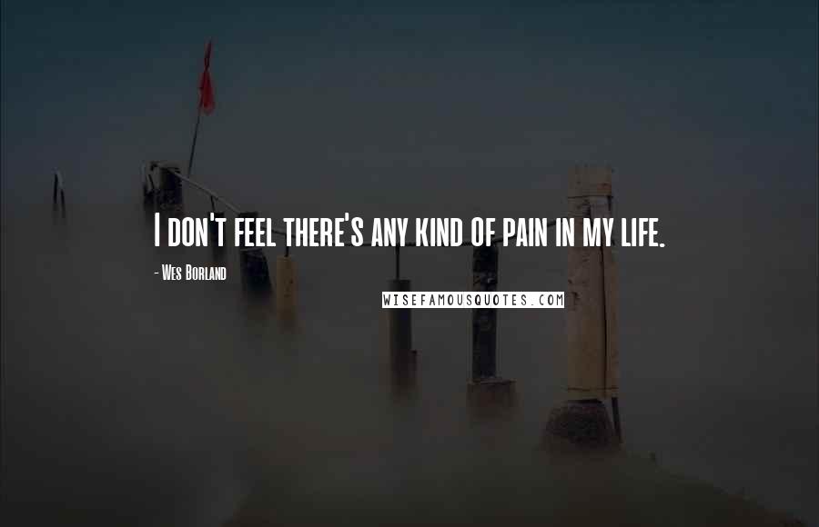Wes Borland Quotes: I don't feel there's any kind of pain in my life.