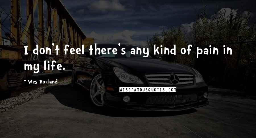 Wes Borland Quotes: I don't feel there's any kind of pain in my life.