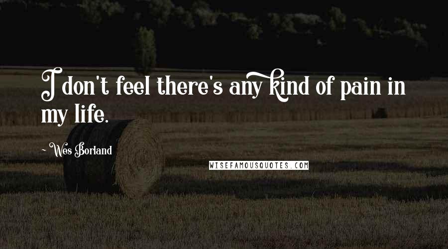 Wes Borland Quotes: I don't feel there's any kind of pain in my life.