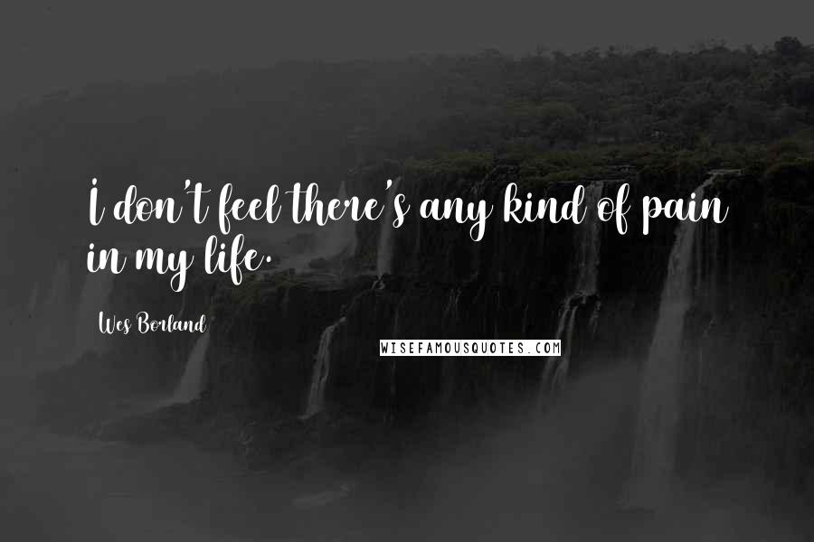 Wes Borland Quotes: I don't feel there's any kind of pain in my life.