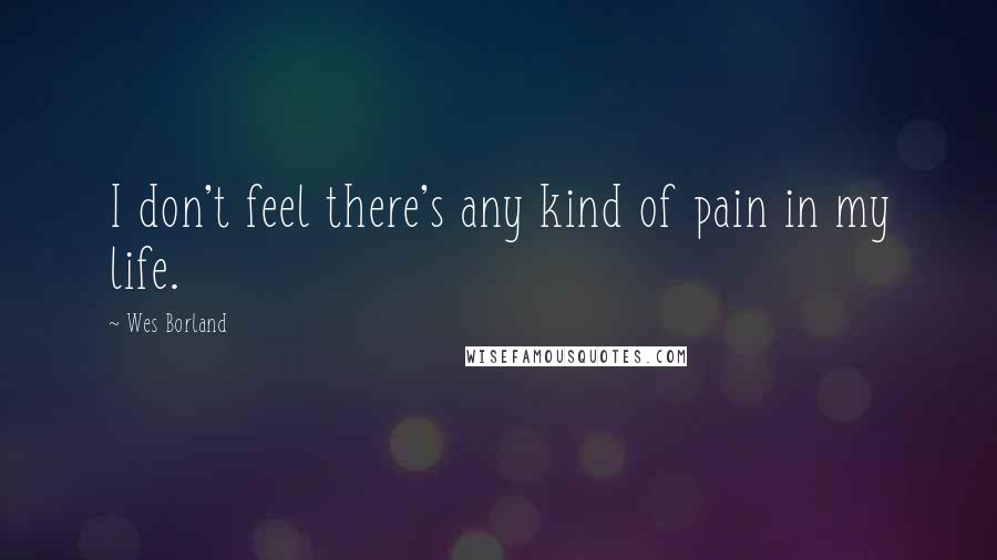 Wes Borland Quotes: I don't feel there's any kind of pain in my life.
