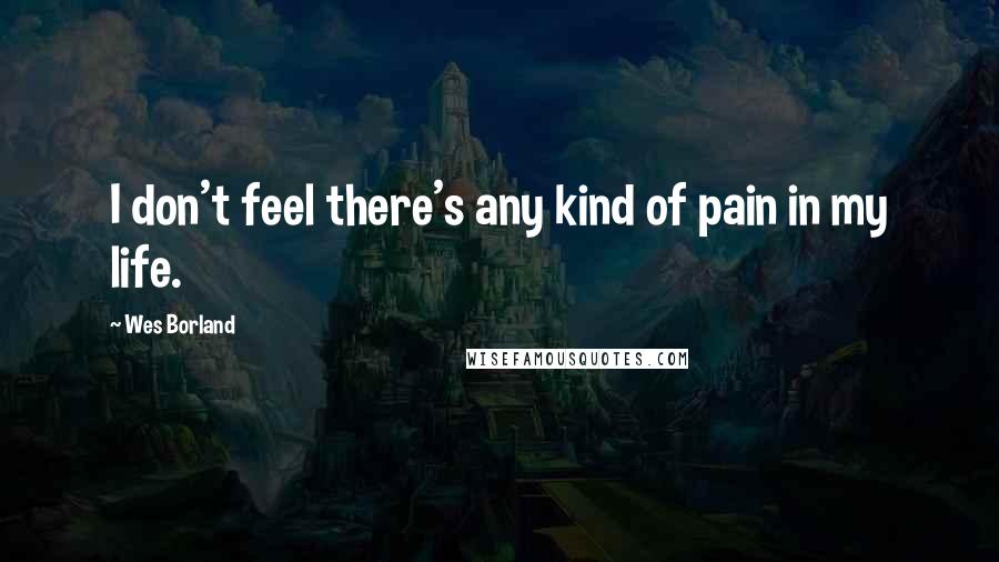 Wes Borland Quotes: I don't feel there's any kind of pain in my life.