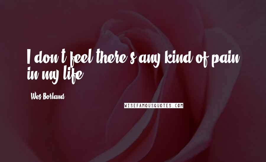 Wes Borland Quotes: I don't feel there's any kind of pain in my life.