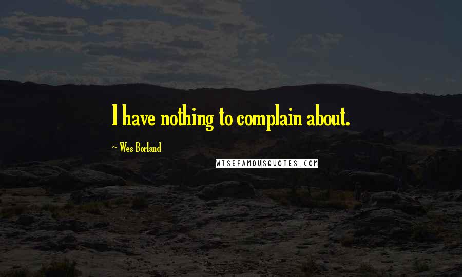 Wes Borland Quotes: I have nothing to complain about.