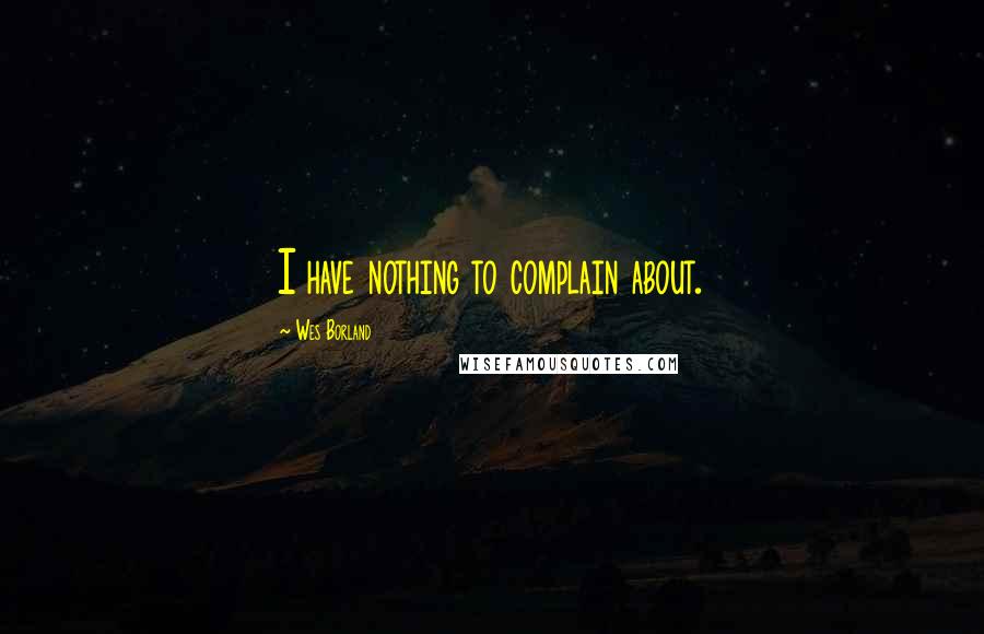 Wes Borland Quotes: I have nothing to complain about.