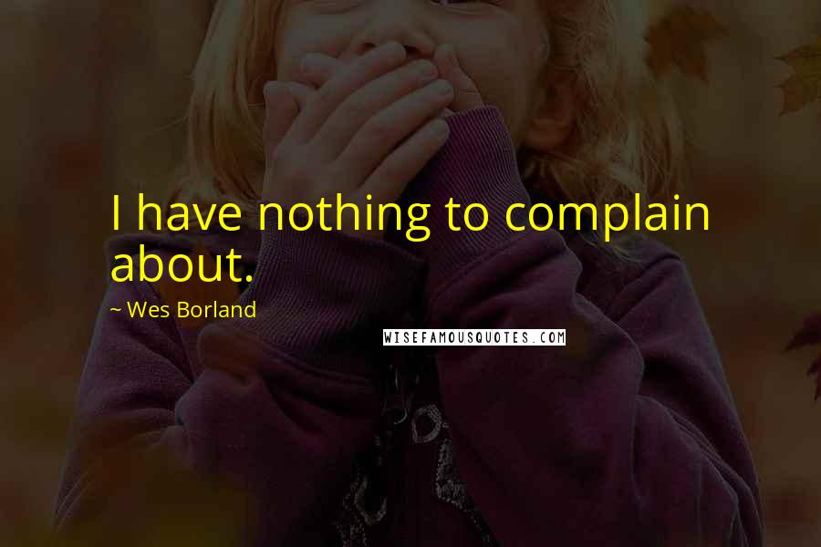 Wes Borland Quotes: I have nothing to complain about.