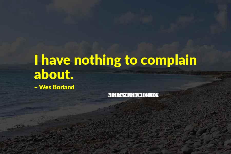 Wes Borland Quotes: I have nothing to complain about.