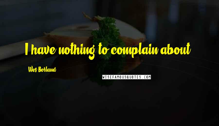 Wes Borland Quotes: I have nothing to complain about.