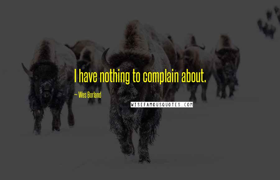 Wes Borland Quotes: I have nothing to complain about.