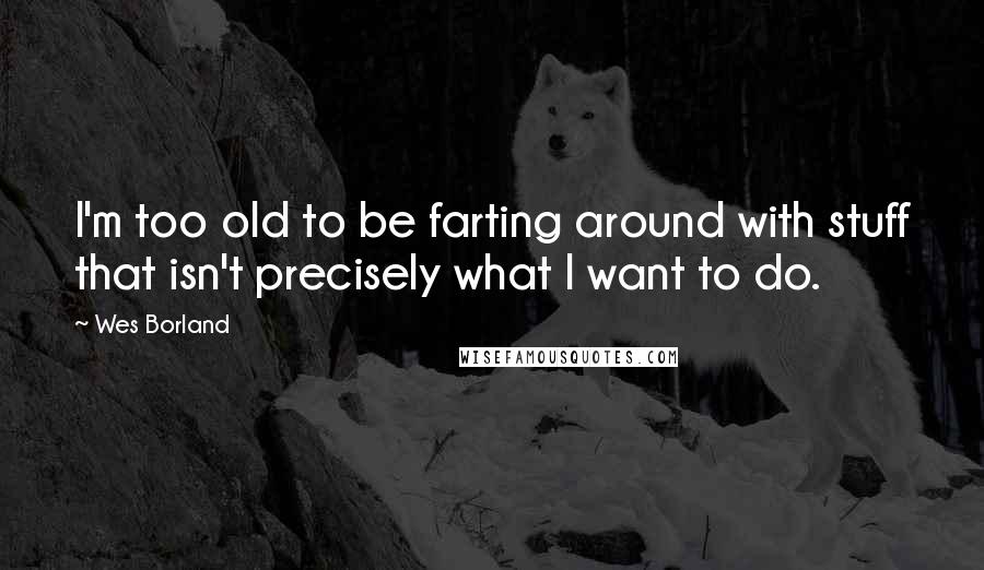 Wes Borland Quotes: I'm too old to be farting around with stuff that isn't precisely what I want to do.