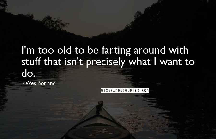 Wes Borland Quotes: I'm too old to be farting around with stuff that isn't precisely what I want to do.