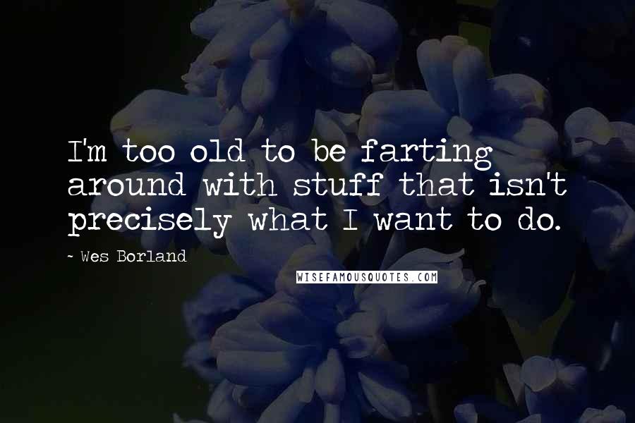 Wes Borland Quotes: I'm too old to be farting around with stuff that isn't precisely what I want to do.