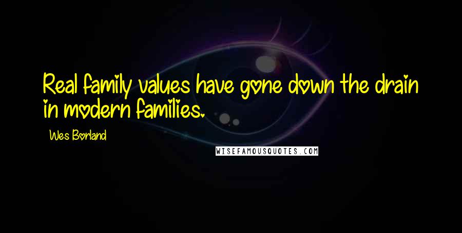 Wes Borland Quotes: Real family values have gone down the drain in modern families.