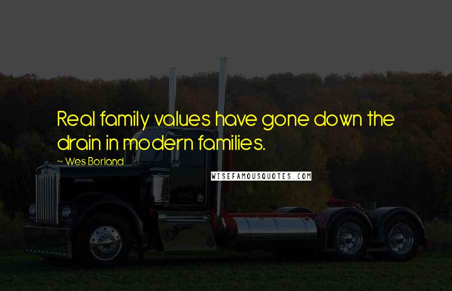 Wes Borland Quotes: Real family values have gone down the drain in modern families.