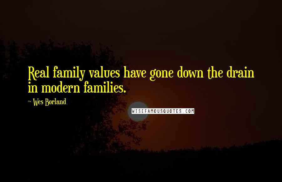 Wes Borland Quotes: Real family values have gone down the drain in modern families.