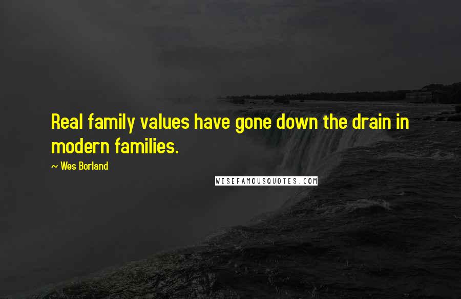 Wes Borland Quotes: Real family values have gone down the drain in modern families.